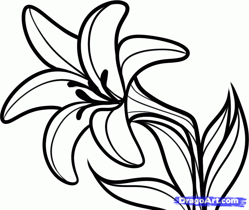 250+ Lily Tattoo Designs With Meanings (2020) Flower ideas & Symbols | Lilly  flower tattoo, Anklet tattoos, Tattoos