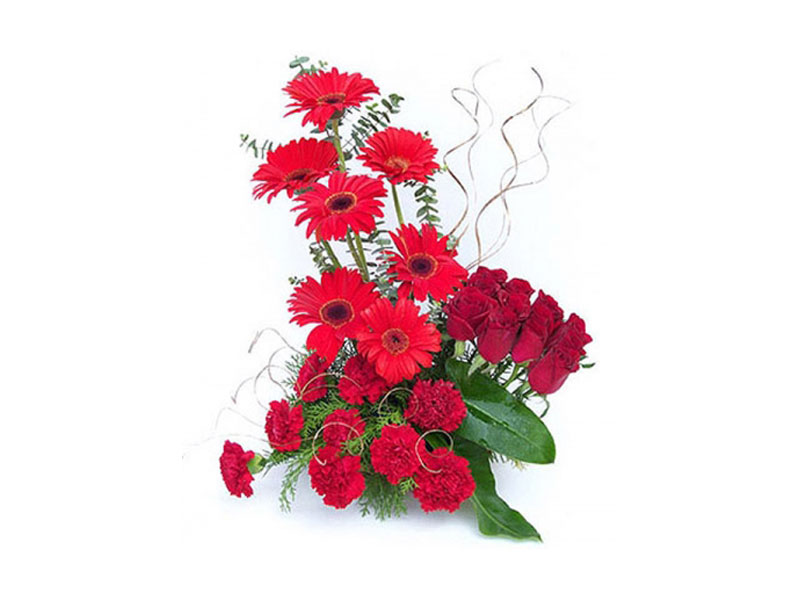Elegant Red Flower Bouquet - Gerberas, Roses & Carnations Arrangement
