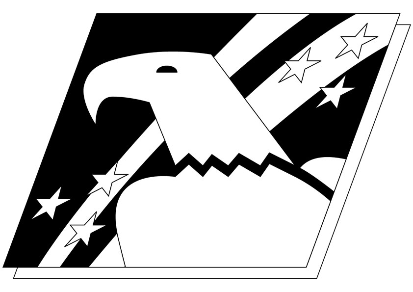 Patriotic Bald Eagle Graphic - American Flag Symbolism Art