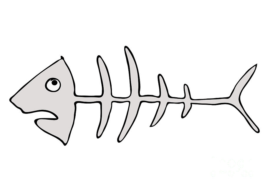 Fish Skeleton - Fishbones by Michal Boubin