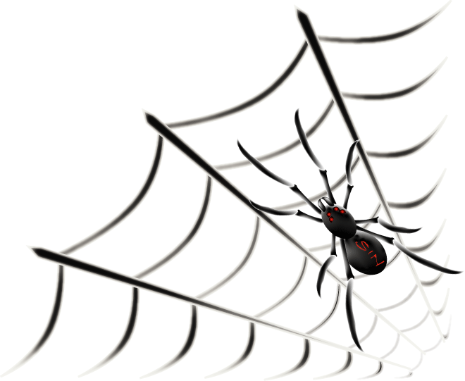Sin Spider Space Web Graphic and Picture | Imagesize: 1330 kilobyte