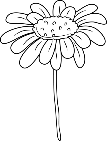 Daisy Flower Coloring Page - Free Clip Art