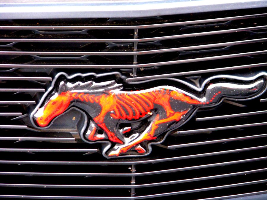 Буквы мустанг. Мустанг значок. Ford Mustang значок. Мустанг машина символ. Кастомные значки авто.