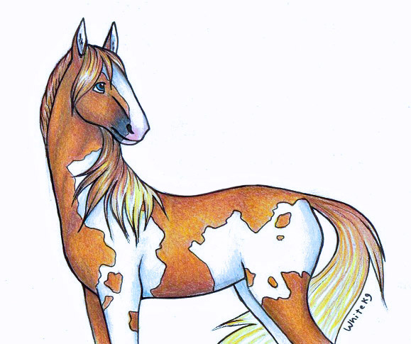 My recent drawing, a Cute Horse : r/drawing