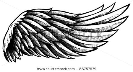 Bird Wings illustrations in tattoo style. Eagle Wings Vector