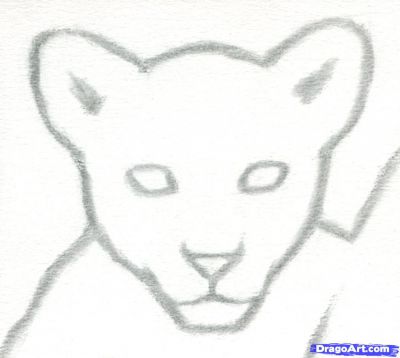 Little Lion Cub Portrait Hand Drawn Sketch Vector Illustration, Wild  Animals Stock Image - Image of print, predator: 271855479