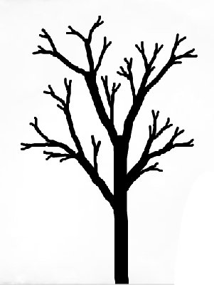 A Simple Tree for Kids to Draw – The Kids Niche