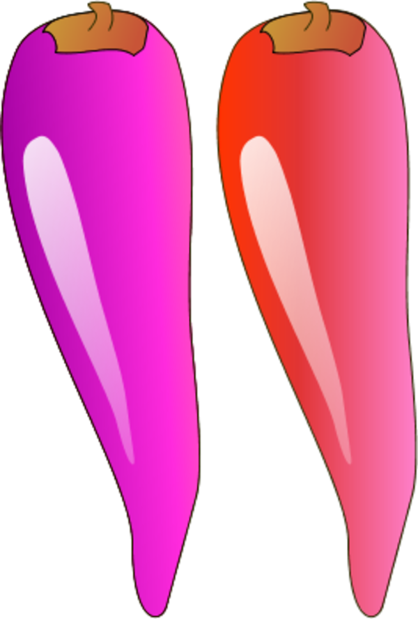 Two stylized chili peppers-one vibrant purple, one fiery red-illustrated with glossy highlights and brown stems against black background.