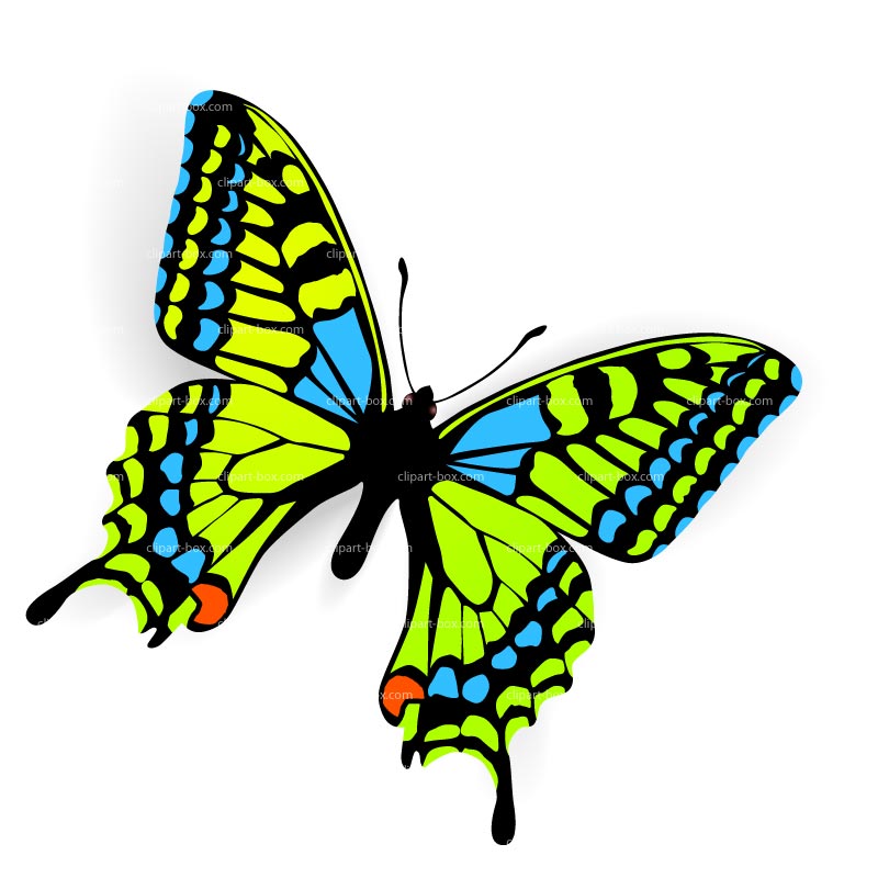 Butterfly Net Clipart
