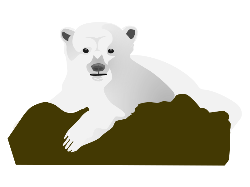 A cartoon-style polar bear resting on a brown rock formation against a white background.