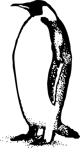 Penguin Clipart Transparent | Clipart library - Free Clipart Images