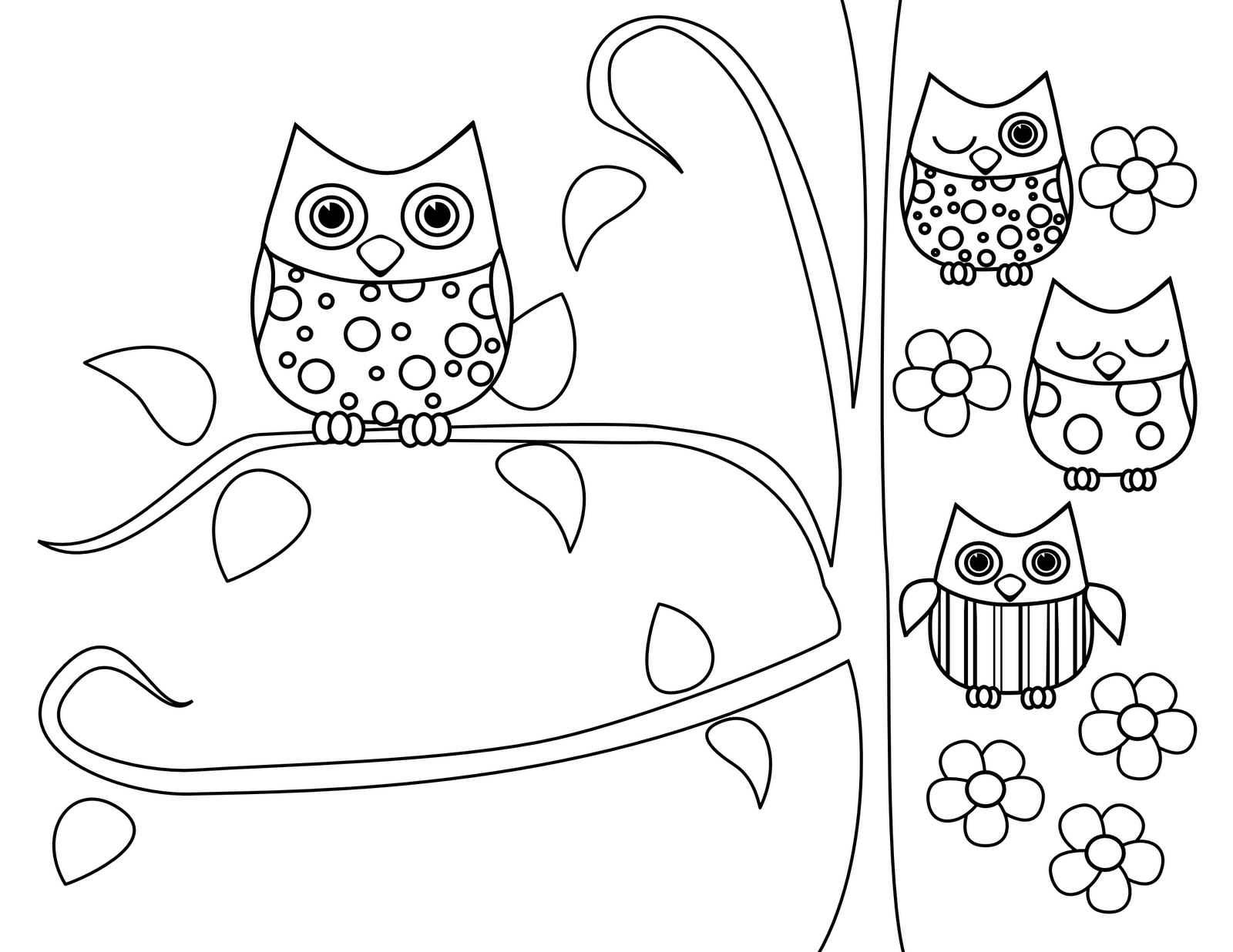 Owl Color Pages - Drawing Kids