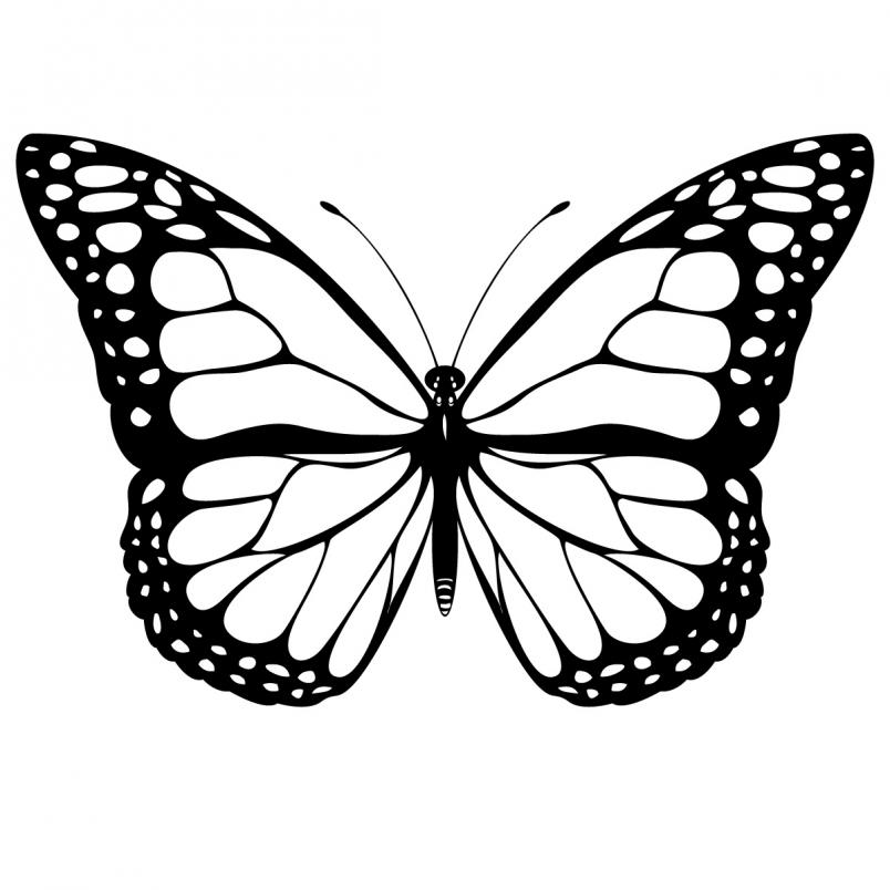 Big Image - Butterfly Wings Clipart - Free Transparent PNG Clipart - Clip  Art Library