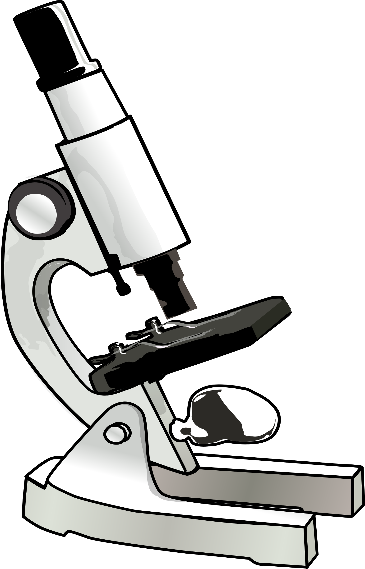 Clipart - Microscope | Clipart library - Free Clipart Images