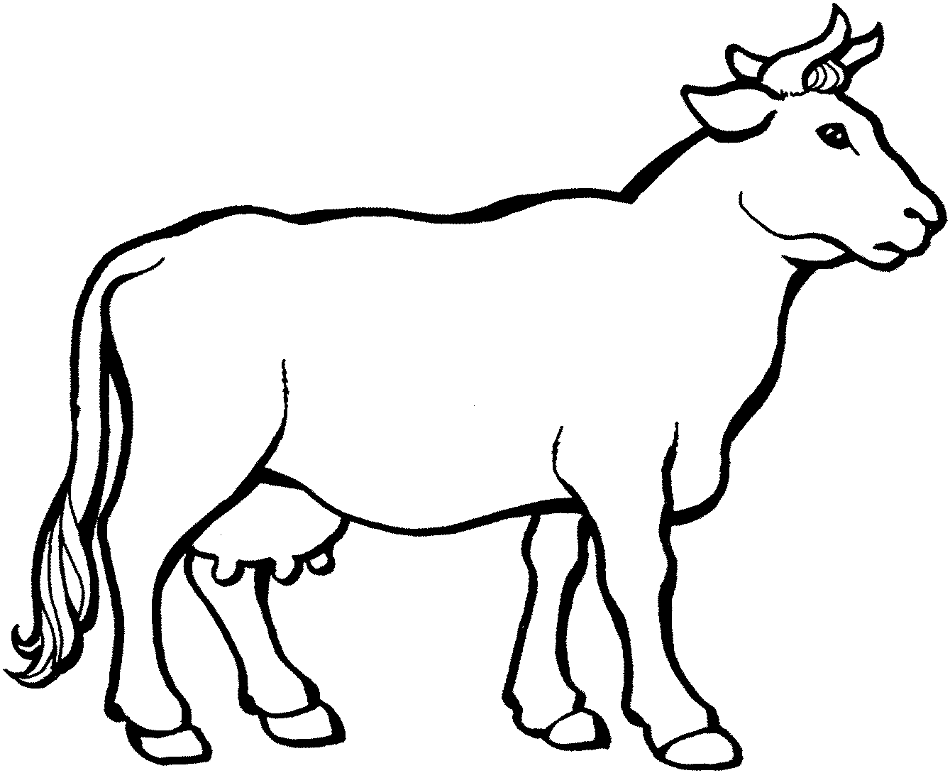 Images For  Cow Black And White Drawing