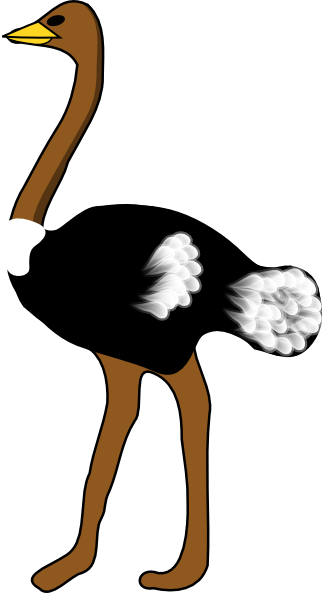 Ostrich clip art - vector clip art online, royalty free  public 