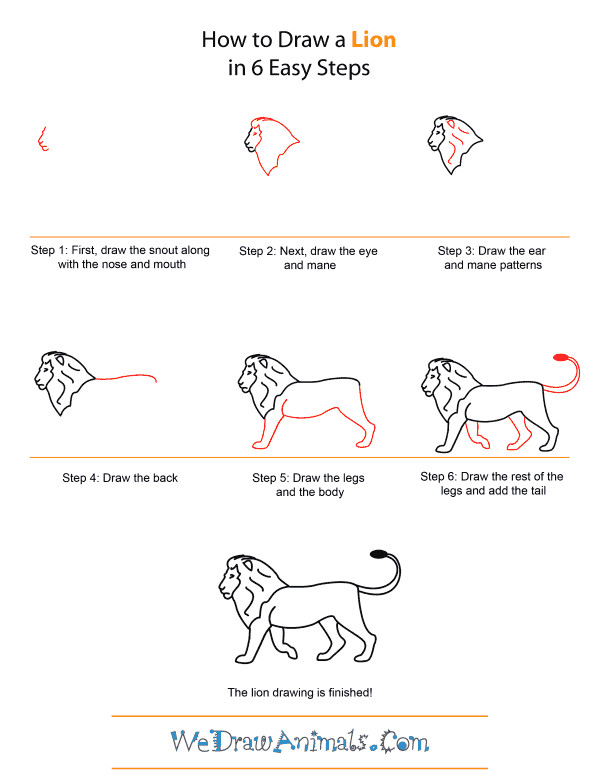 How to Draw Lions : Drawing Tutorials & Drawing & How to Draw Lion Drawing  Lessons Step by Step Techniques for Cartoons & Illustrations