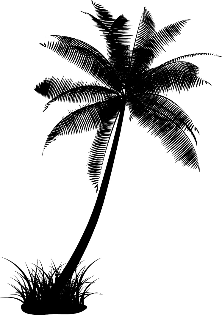 Coconut tree silhouette vector material | Free download Web