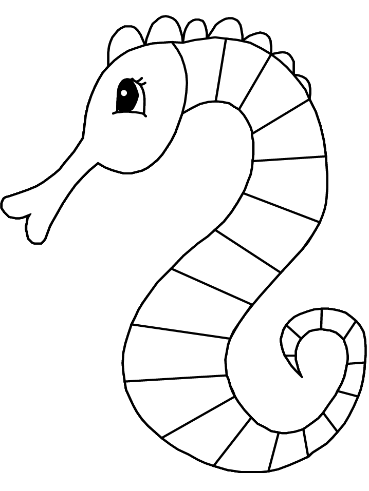 Simple Seahorse Coloring Page Images  Pictures - Becuo