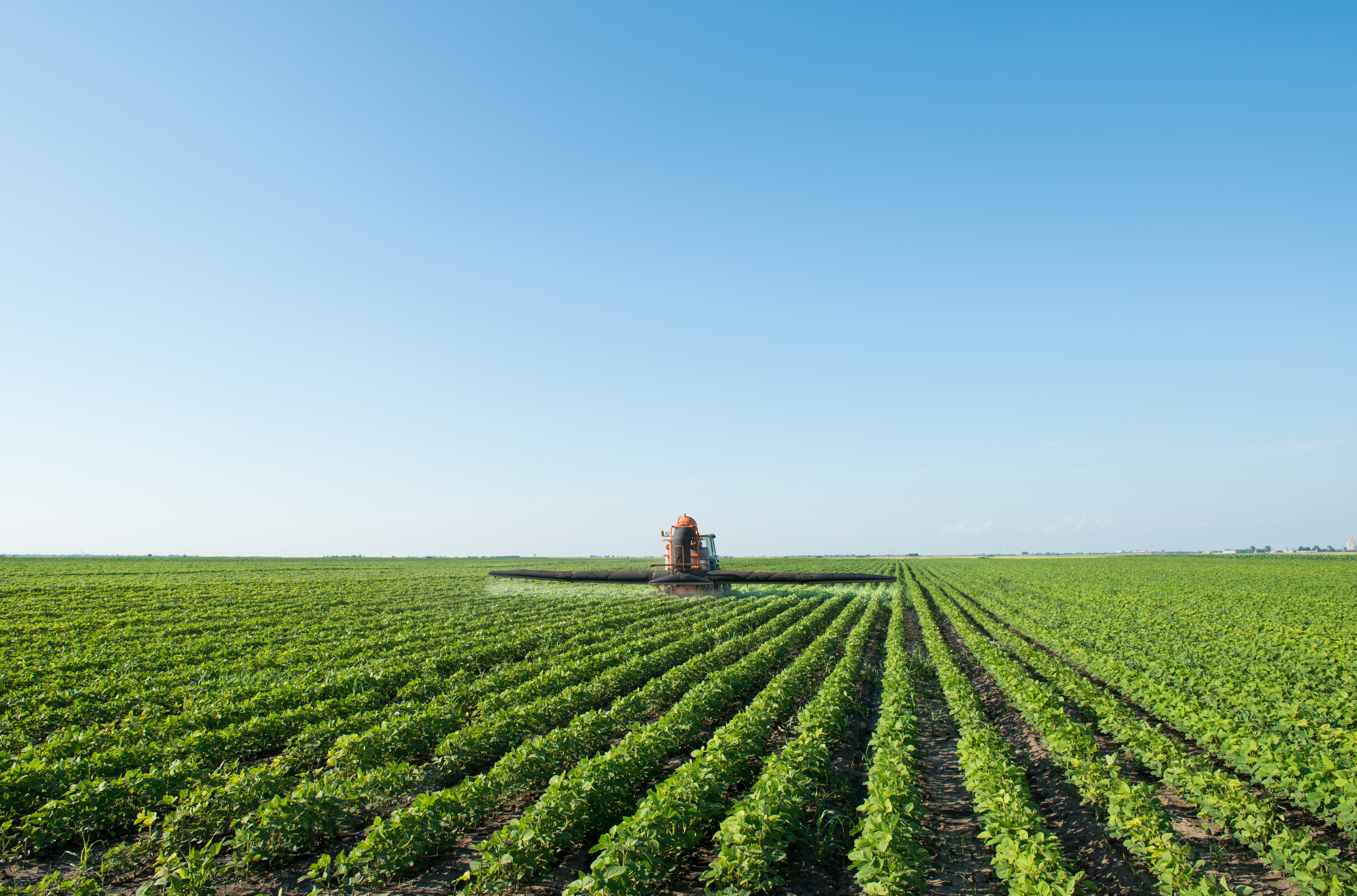 Tractor with wide boom sprayer applying treatment to rows of lush green soybean crops under a clear blue sky.