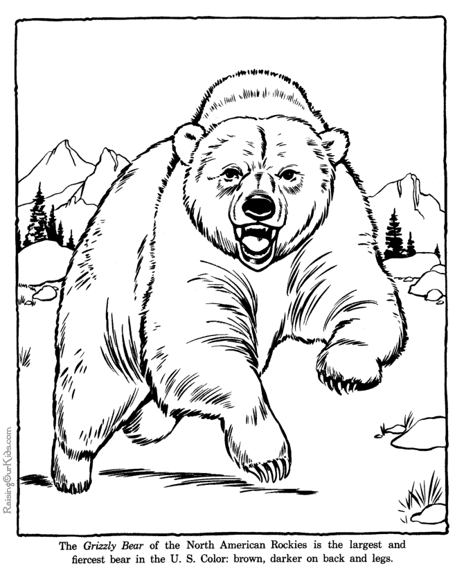 Realistic Black Bear Coloring Page Images  Pictures - Becuo
