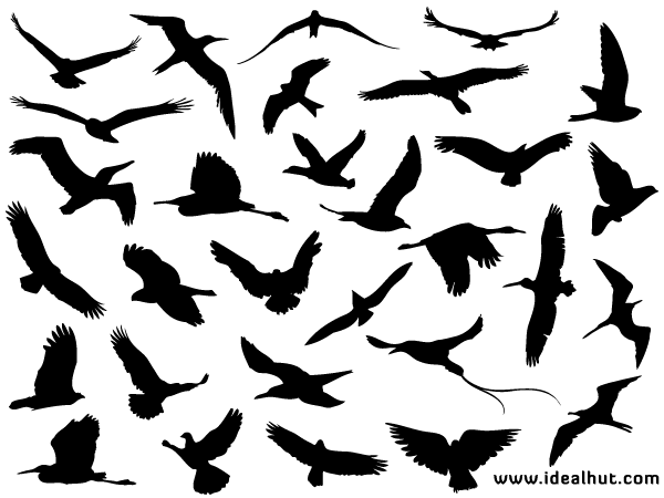 Free Flying Bird Silhouettes Vector | Download Free Vector Art