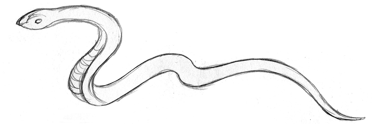 Easy Snake Drawing  HelloArtsy