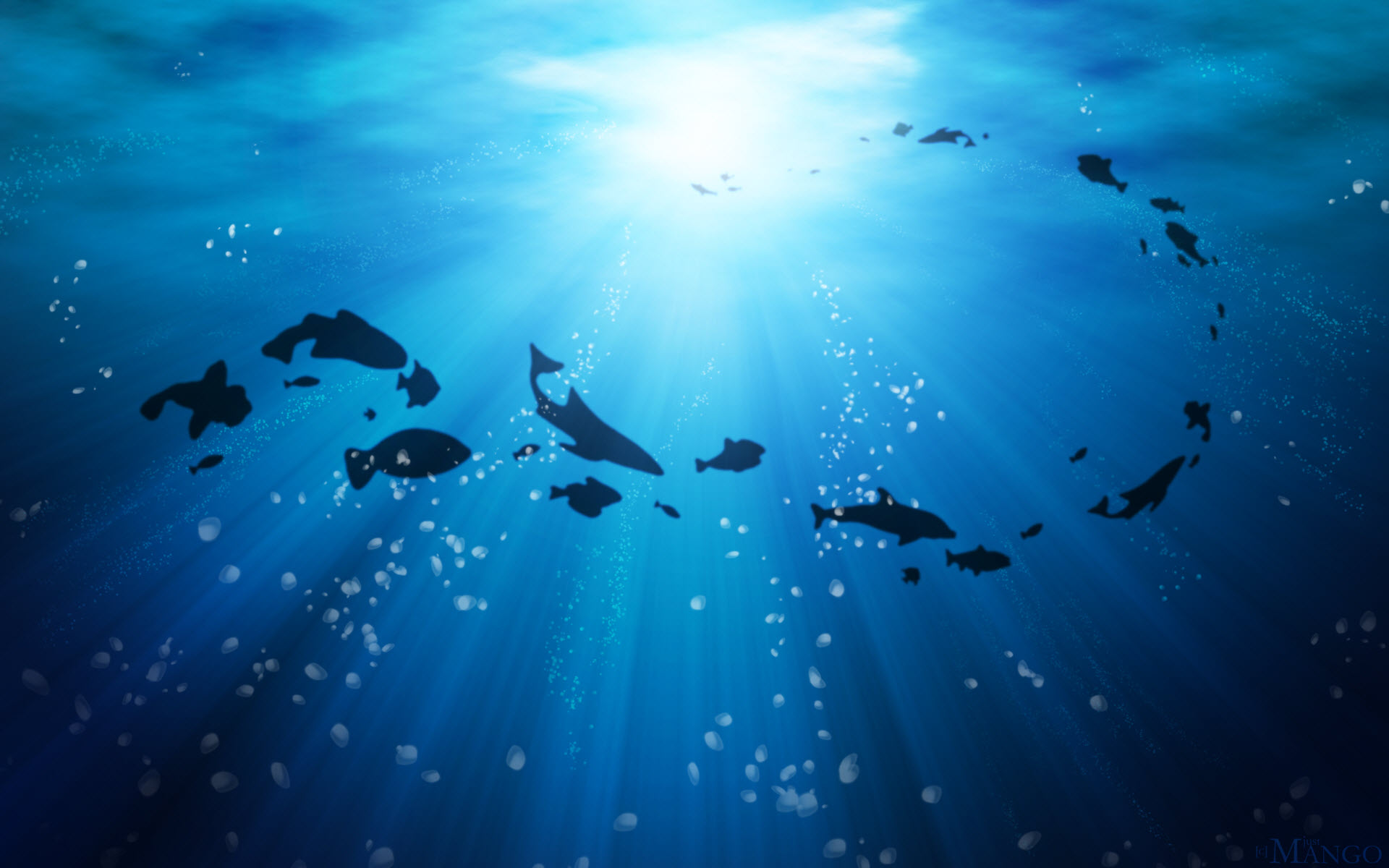Sunlight beams through deep blue ocean water, illuminating silhouettes of fish and marine life swimming upward amid floating bubbles.