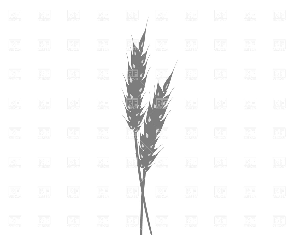 Ear of wheat, 332, Food and Beverages, download free vector 