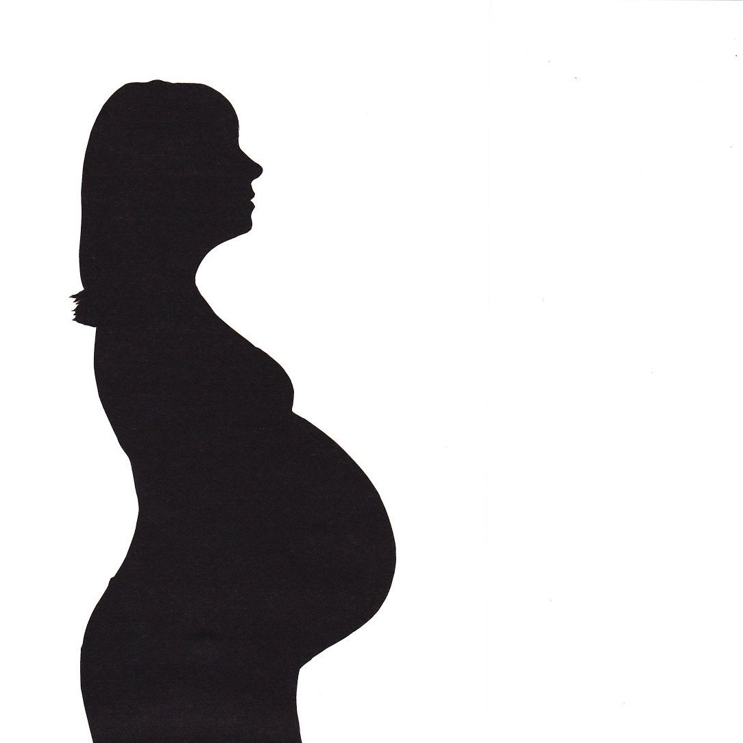 Custom Pregnancy Silhouette Reserved for Leslie by jennyleefowler