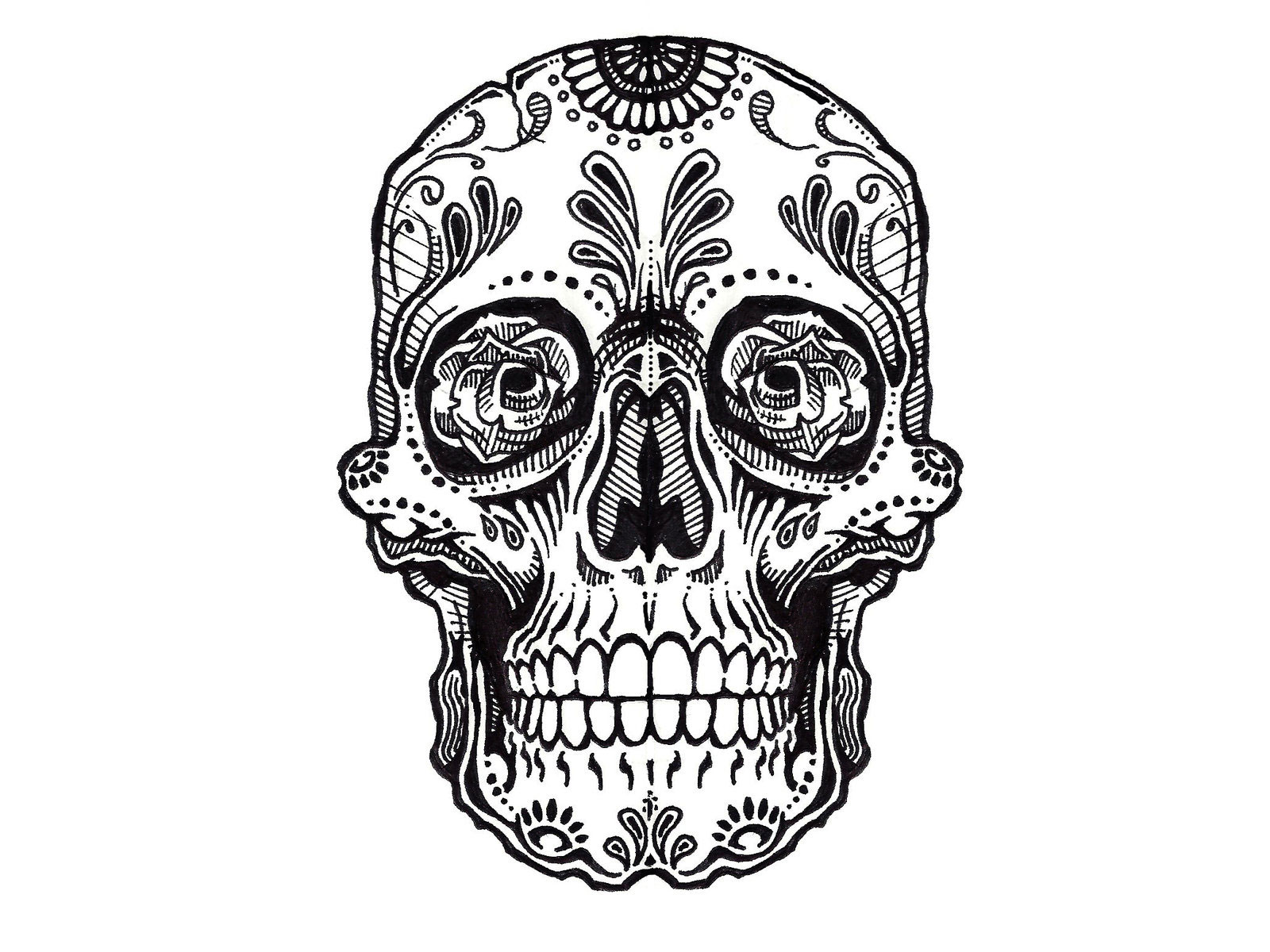 Skull Tattoo Design Hq Backgrounds Hd Wallpapers Gallery 
