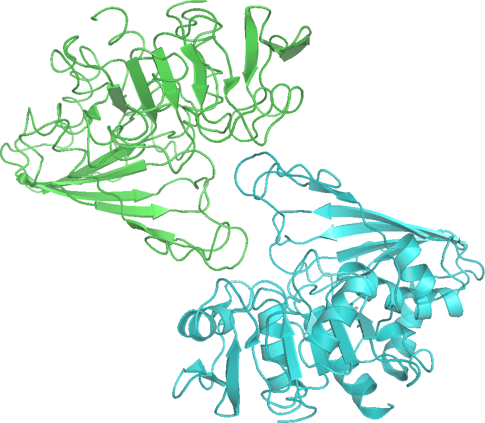 glyceraldehyde 3 phosphate dehydrogenase png Clip Art Library