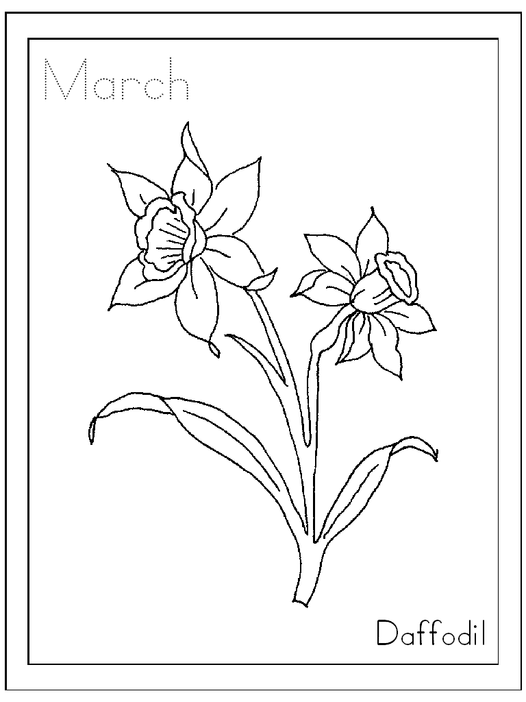 How To Draw A Daffodil, Step by Step, Drawing Guide, by Dawn - DragoArt