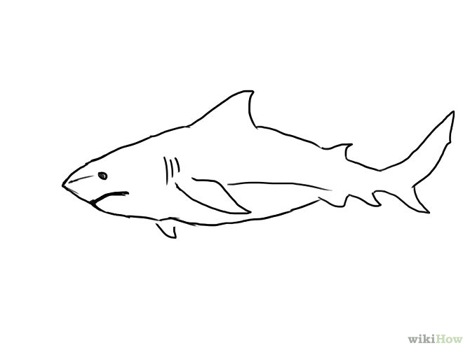 How To Draw A Shark | Free Download Clip Art | Free Clip Art | on ...