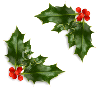 ist2_4713662-christmas-holly-corner.png Photo by italia_lady 