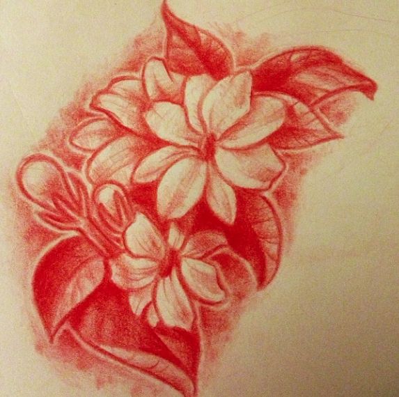 tattoo sampaguita flower drawing - Clip Art Library