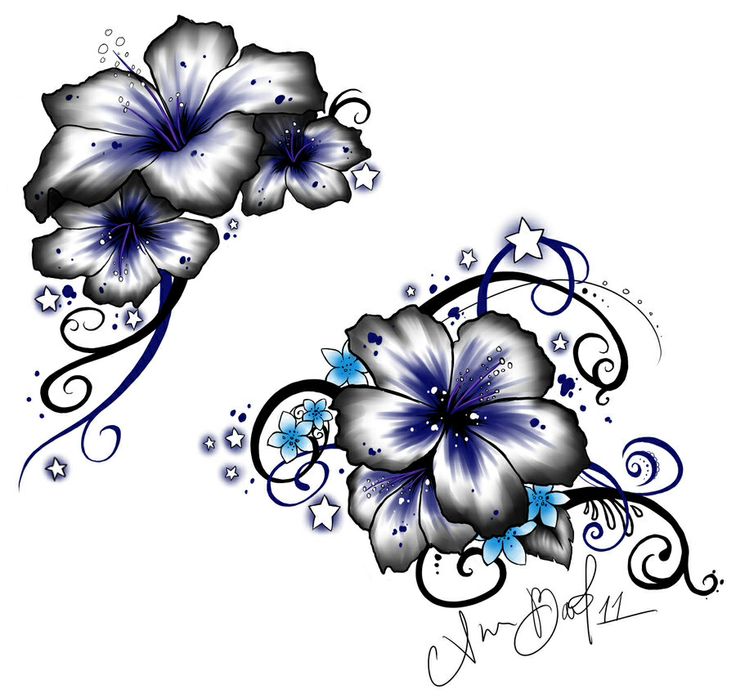 Morning Glory Tattoo Blossom Art Board Print for Sale by fehrti  Redbubble