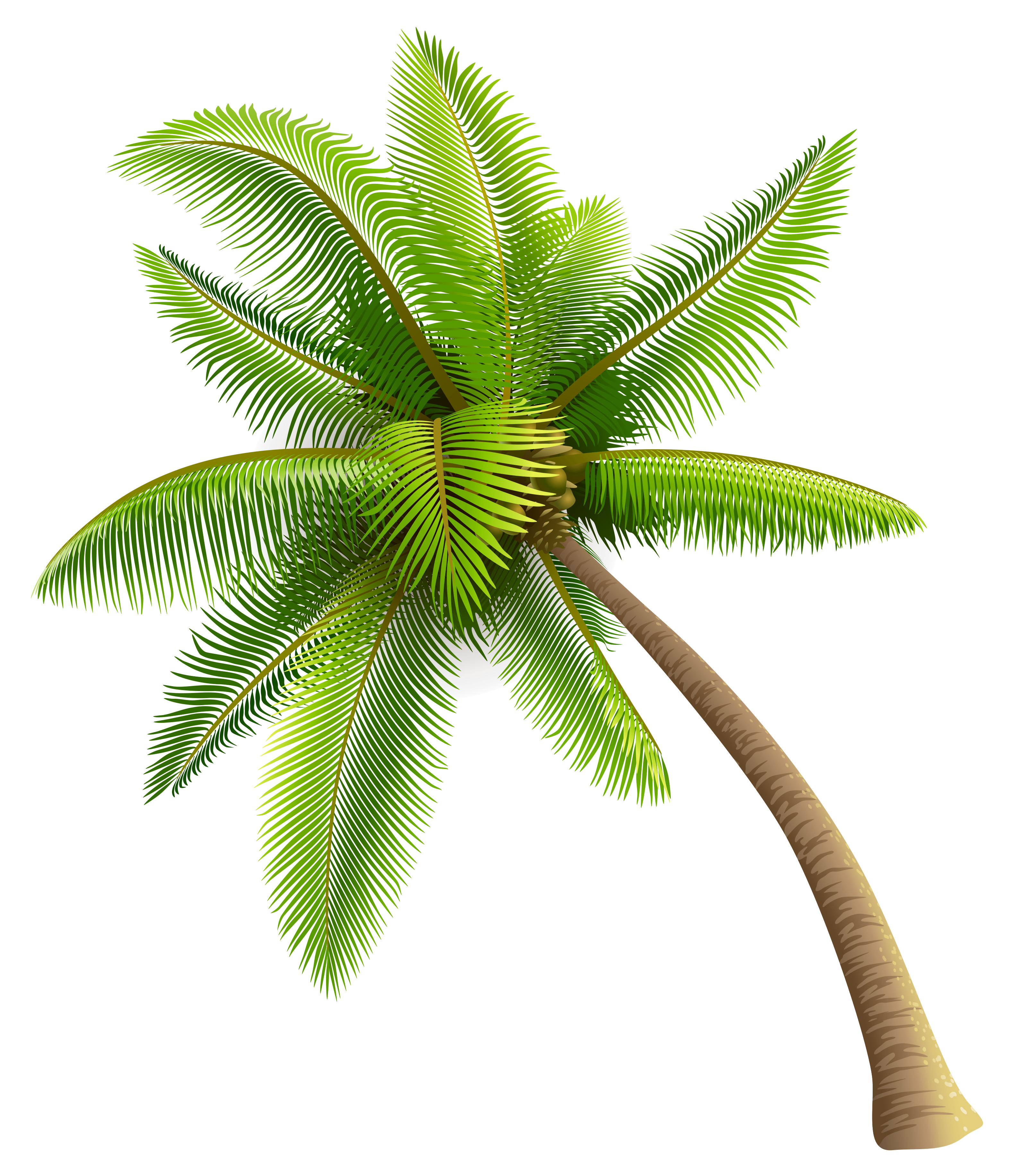 Free Palm Tree, Download Free Palm Tree png images, Free ClipArts on ...