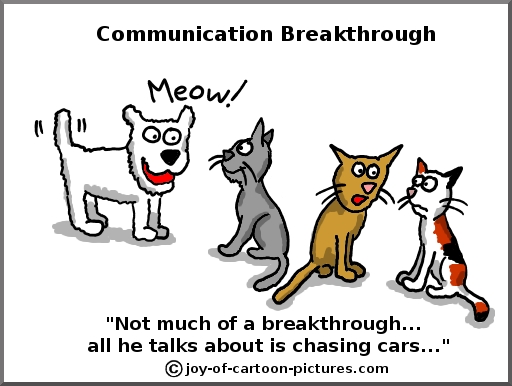 cartoon-dogs-and-cats