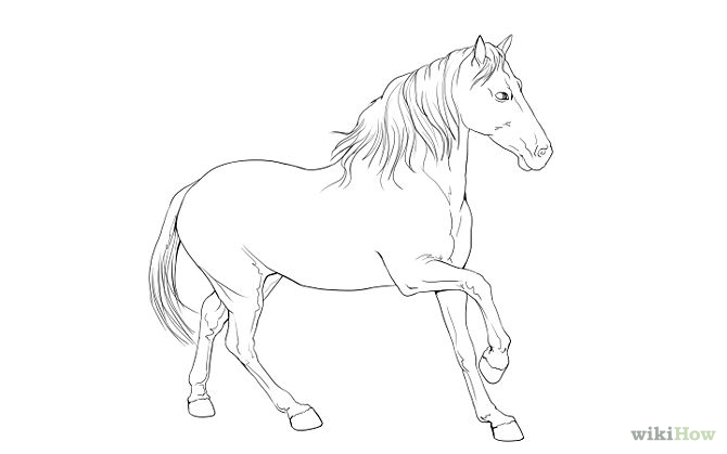 Simple Pencil Horse Drawings