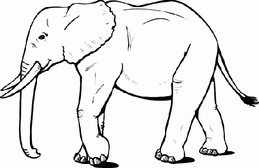 How to draw elephant face / elephant face drawing from 6 dots /simple  elephant (head) face' drawing - YouTube