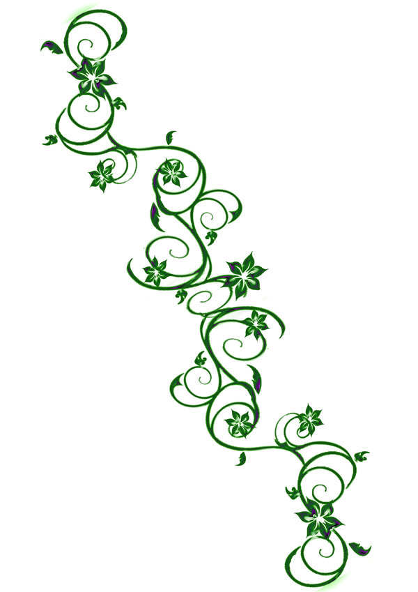 Ancient Plant Vine Feather Celtic Symbol, Plant Drawing, Vine Drawing,  Feather Drawing PNG and Vector with Transparent Background for Free Download