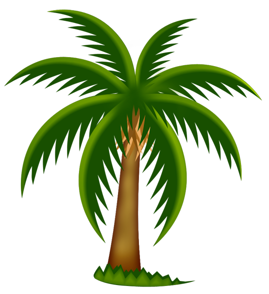 Cartoon Palm Tree Clip Art Free 