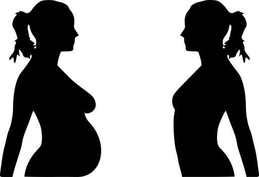 Pregnant woman  non-pregnant women silhouette vectorFree PSD 