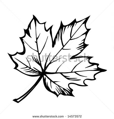 Maple Leaf Clip Art Black And White - Gallery