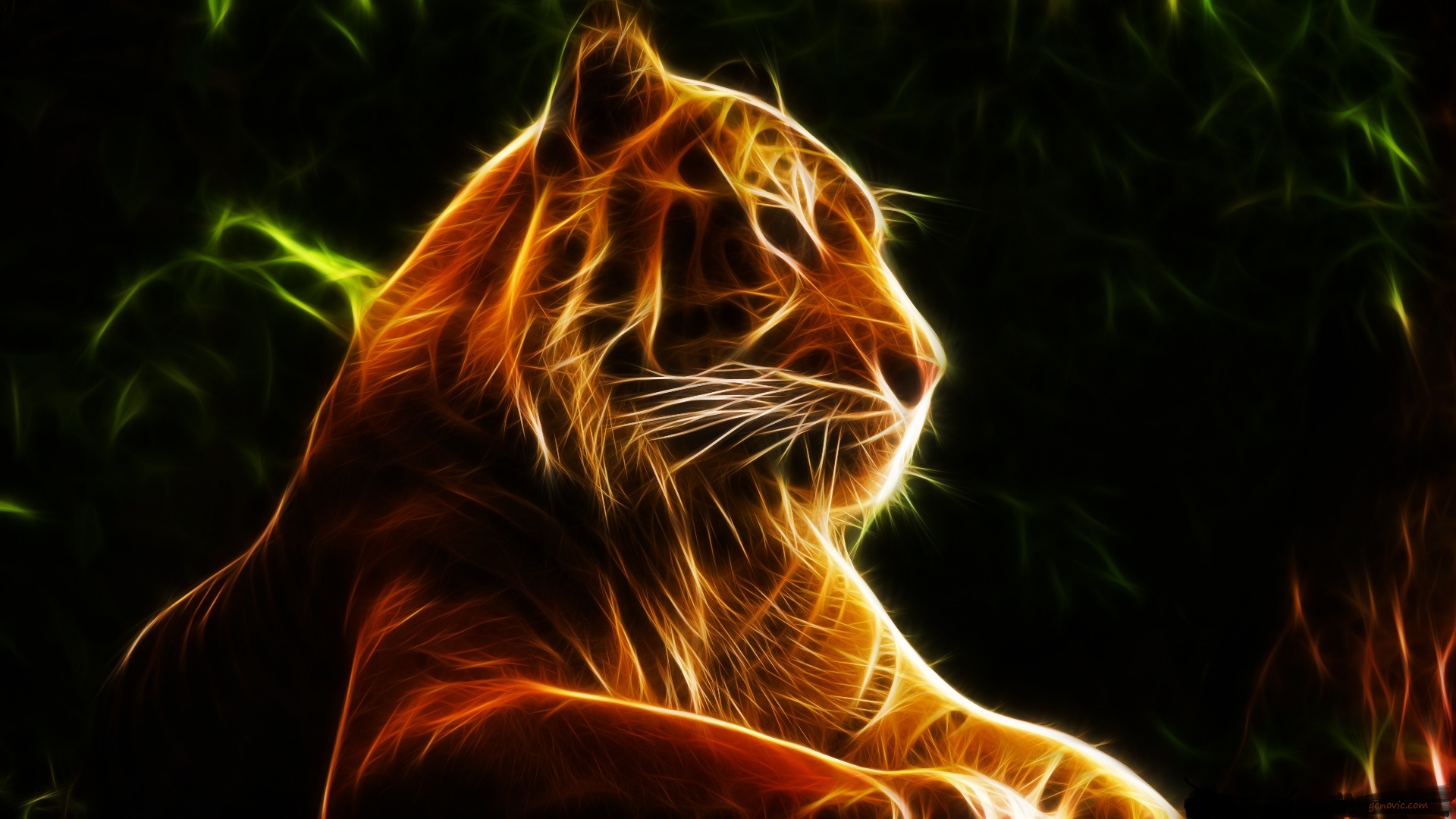 Cool Tiger Backgrounds  Wallpaper Cave