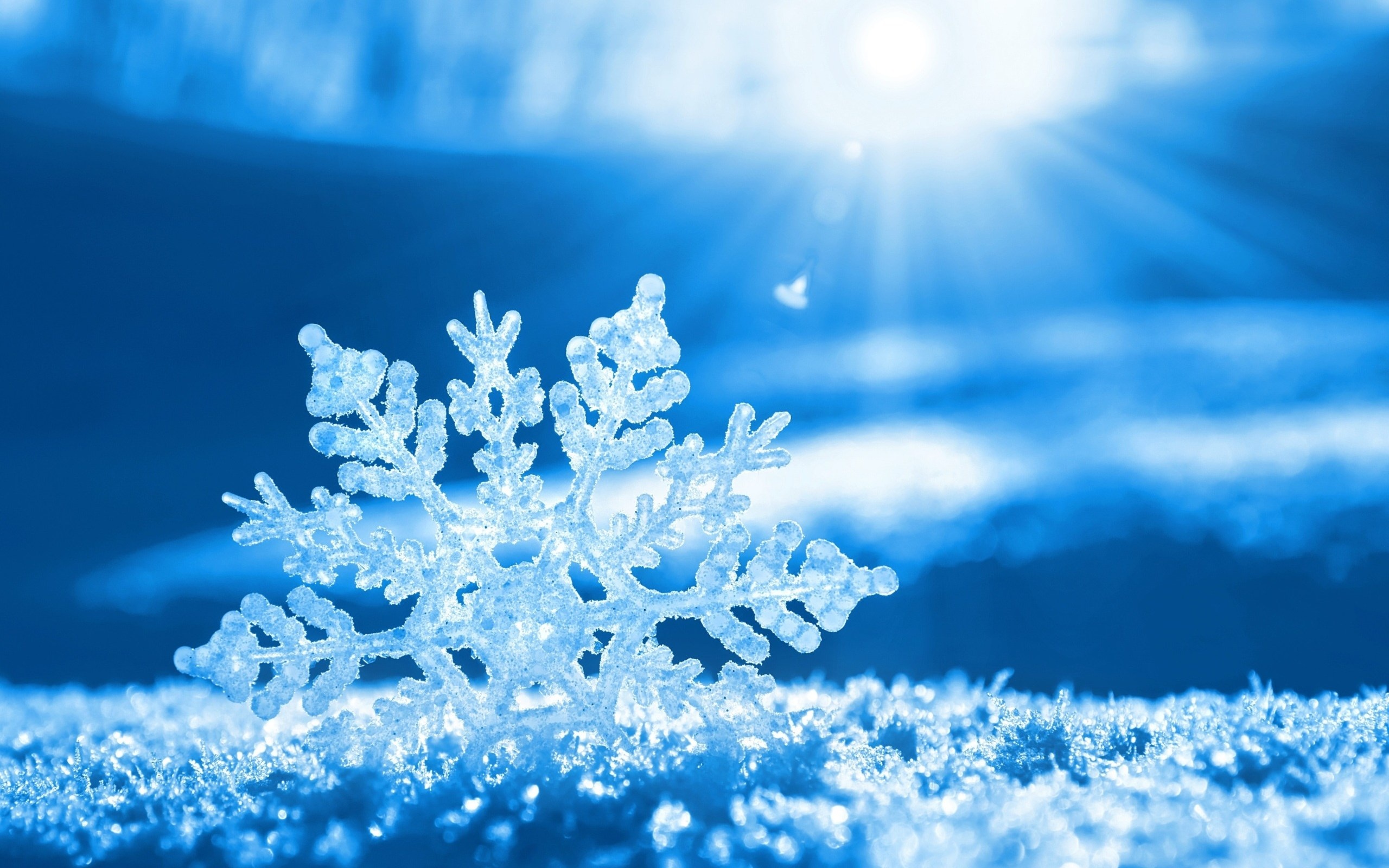The Art and Science of Growing Snowflakes in a Lab, Science