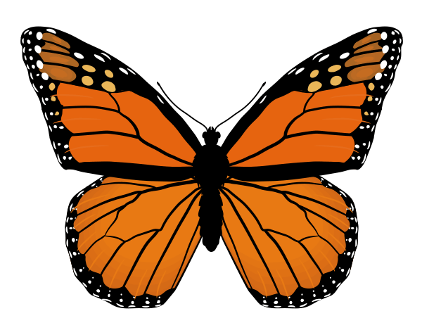 Monarch Butterfly Wing Nail Art Tutorial - wide 10