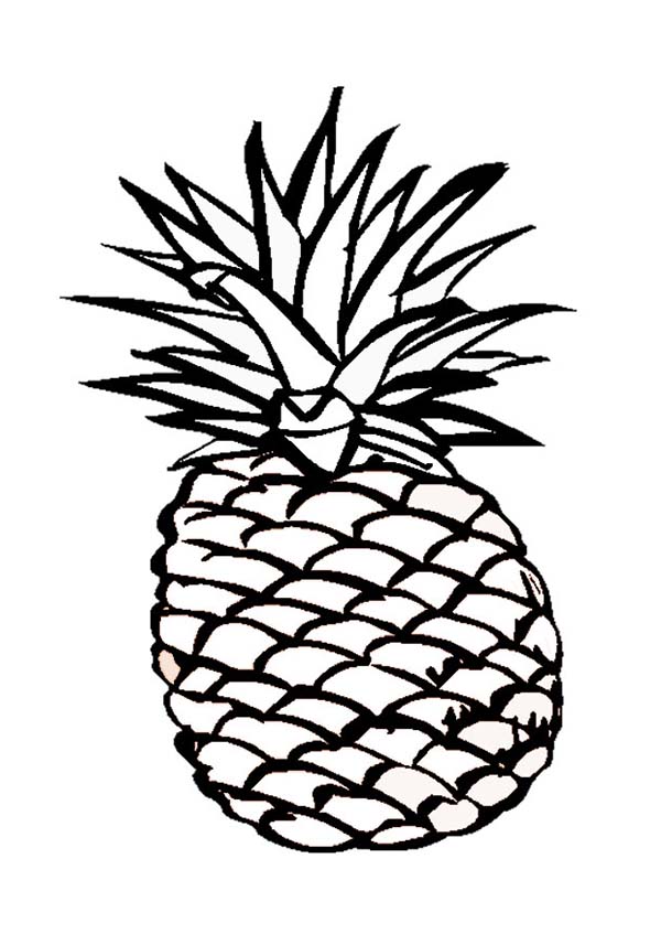 A Delicious Hawaiian Smooth Cayenne Pineapple Coloring Page 