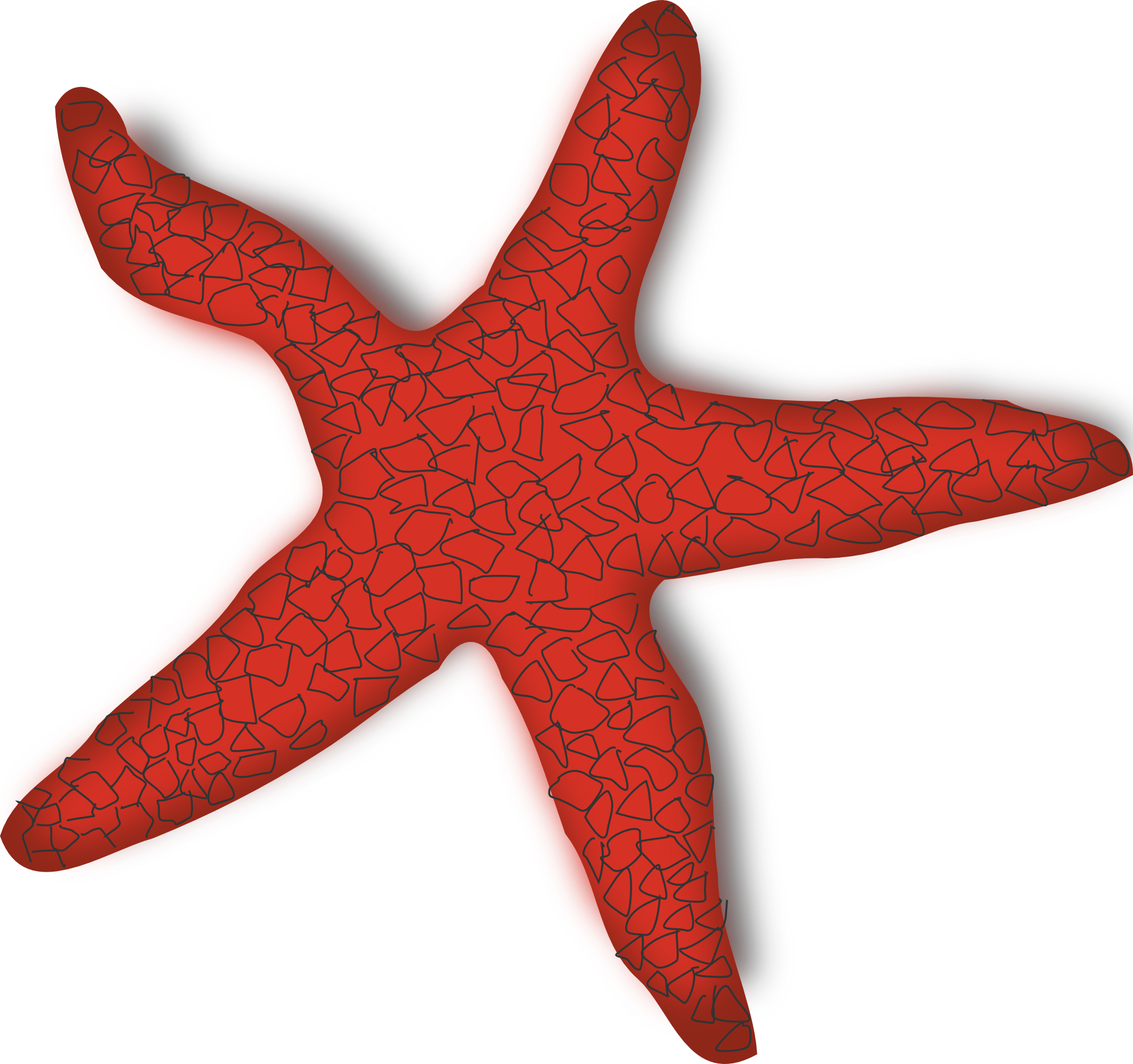 Starfish Clip Art Images | Clipart library - Free Clipart Images
